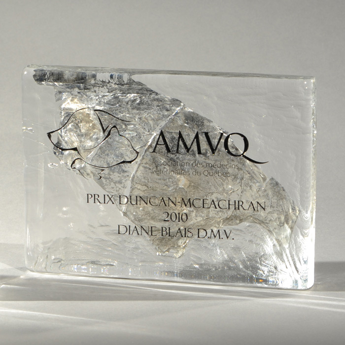 Trophée verre AMVQ Panoramique